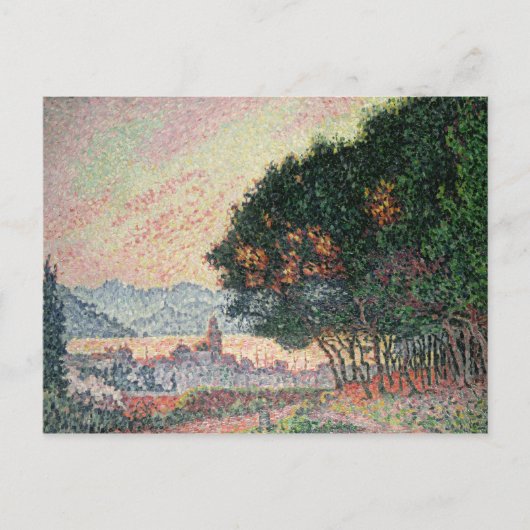 1902年セントトロペス近郊の森林 ポストカード (正面)