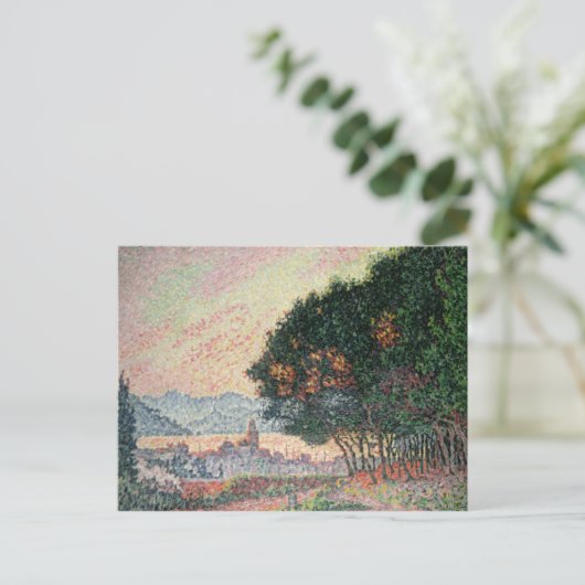 1902年セントトロペス近郊の森林 ポストカード (スタンド正面)