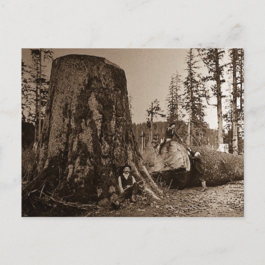 1903ヴィンテージランバージャック魔法ランタンスライド ポストカード (正面)