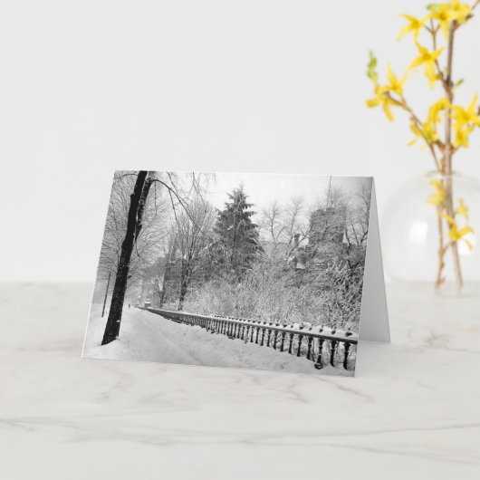 1903年のデトロイトミシガン州挨拶状 カード (黄色い花)