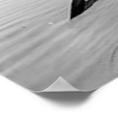 1903年Adirondack Mts.ポスター ポスター (角)