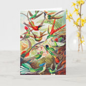 1904ハミングバードプリント カード (黄色い花)