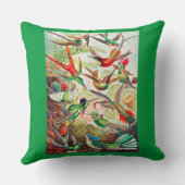 1904ハミングバードプリント クッション (裏面)