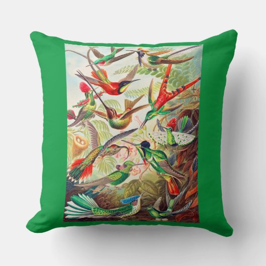1904ハミングバードプリント クッション (正面)