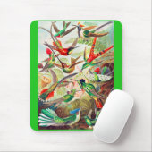 1904ハミングバードプリント マウスパッド (マウス)