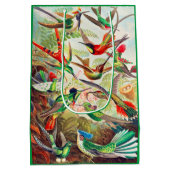 1904ハミングバードプリント ミディアムペーパーバッグ (裏面)