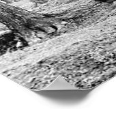 1904メープルシュガーキャンプバーモント ポスター (角)