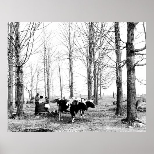 1904メープルシュガーキャンプバーモント ポスター (正面)