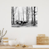 1904メープルシュガーキャンプバーモント ポスター (キッチン)