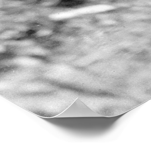 1904年に生きる ポスター (角)