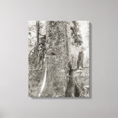 1905年の巨大なモミとのランバージャック。ヴィンテージ写真 キャンバスプリント (正面)