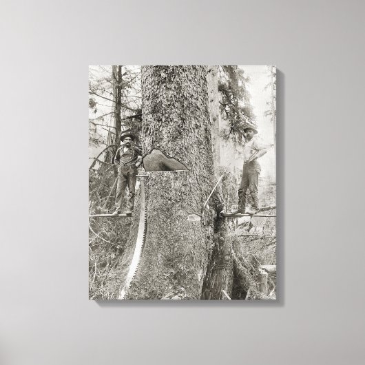 1905年の巨大なモミとのランバージャック。ヴィンテージ写真 キャンバスプリント (正面)