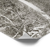 1905年の巨大なモミとのランバージャック。ヴィンテージ写真 ポスター (角)