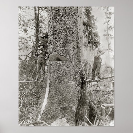 1905年の巨大なモミとのランバージャック。ヴィンテージ写真 ポスター (正面)