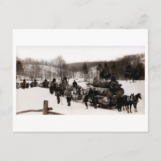 1905年ランバージャック ポストカード (正面)