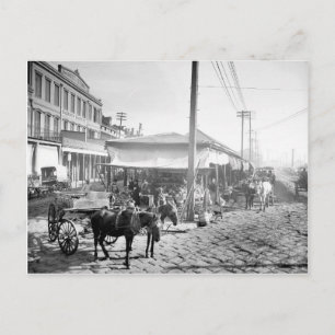 1906年のニューオーリンズのフレンチマーケット ポストカード