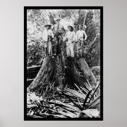 1906年フィリピン・ミンドロー地域のランバージャック ポスター (正面)