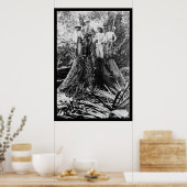 1906年フィリピン・ミンドロー地域のランバージャック ポスター (キッチン)