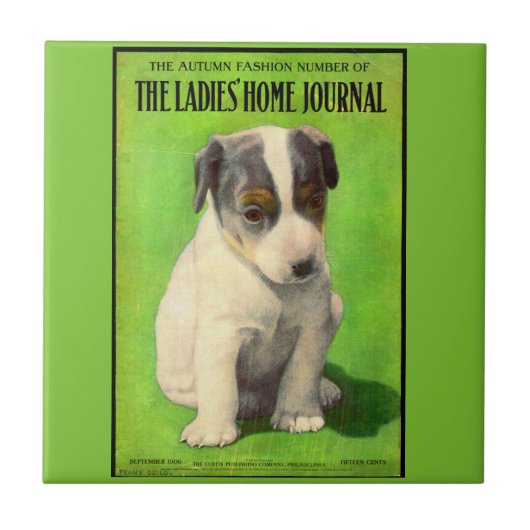 1906年9月レディースホームジャーナルカバー子犬 タイル (正面)