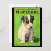 1906年9月レディースホームジャーナルカバー子犬 ポストカード (正面/裏面)