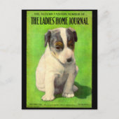 1906年9月レディースホームジャーナルカバー子犬 ポストカード (正面)