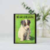 1906年9月 Ladies Home Journal 表紙の子犬 ポストカード (スタンド正面)