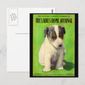 1906年9月 Ladies Home Journal 表紙の子犬 ポストカード (正面/裏面)