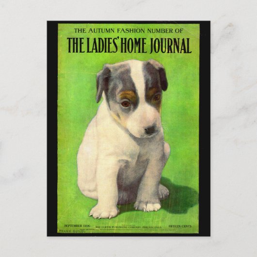 1906年9月 Ladies Home Journal 表紙の子犬 ポストカード (正面)