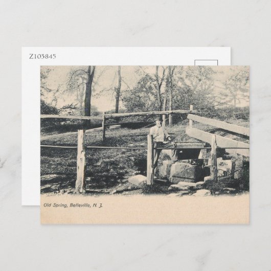1907年の古い泉、ニュージャージー州ベルビル ヴィンテージ ポストカード (正面/裏面)