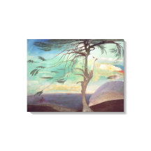 1907年の杉の草木