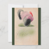 1907年ヴィンテージ感謝祭ピンクとグレーのトルコ カード (正面)