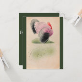 1907年ヴィンテージ感謝祭ピンクとグレーのトルコ カード (正面/裏面インサイチュ)