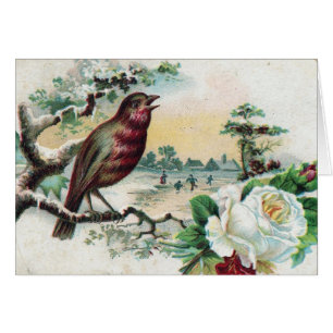 1908年鳥はがき