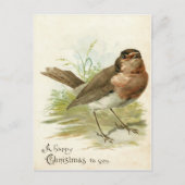 1908年 ビンテージ ロビンバード クリスマスカード ポストカード (正面)