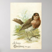 1908年 ビンテージ ロビン 鳥 クリスマス グリーティング ポスター (正面)