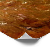 1909年夏 ポスター (角)