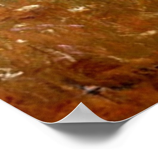 1909年夏 ポスター (角)