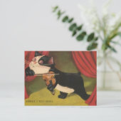 1909年遊のPCからバイオリンのCat's Sonet ポストカード (スタンド正面)