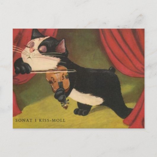 1909年遊のPCからバイオリンのCat's Sonet ポストカード (正面)