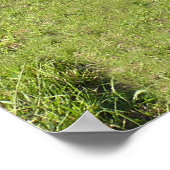 1910キツネクリークストーンアーチブリッジ ポスター (角)