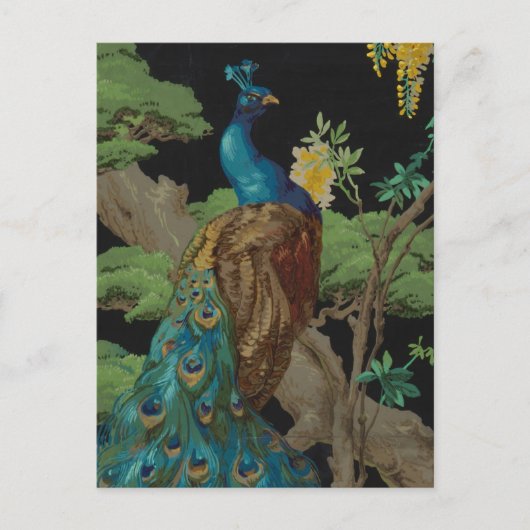 1910ヴィンテージ壁紙ザシダーツリー ポストカード (正面)