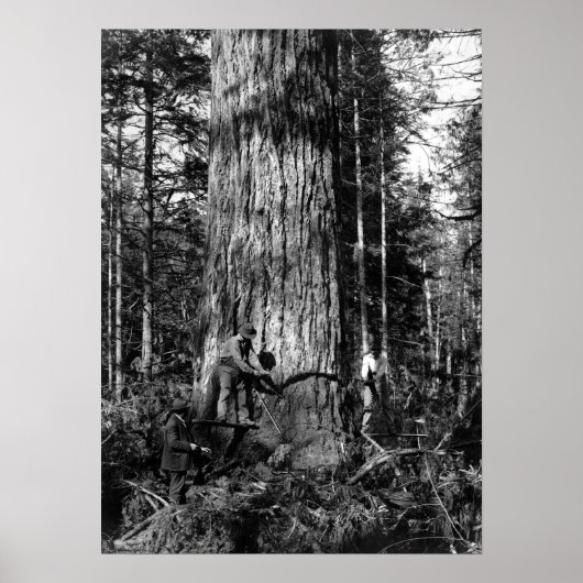 1910 STANLEY PARK CANADA LOGGERS ポスター (正面)