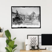 1911年頃の馬写真 ポスター (ホームオフィス)