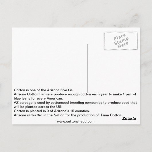 1912アリゾナ綿ファクトポストカード ポストカード (裏面)