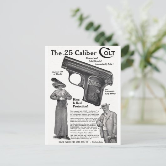 1912子馬 ポストカード (スタンド正面)