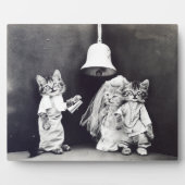 1914結婚年を解放するハリー・ホイッティエ フォトプラーク (正面)