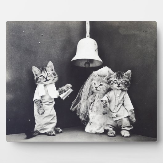 1914結婚年を解放するハリー・ホイッティエ フォトプラーク (正面)