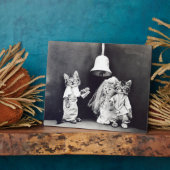 1914結婚年を解放するハリー・ホイッティエ フォトプラーク (側面)