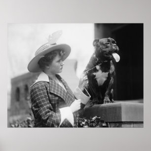 1915ドッグショー ポスター