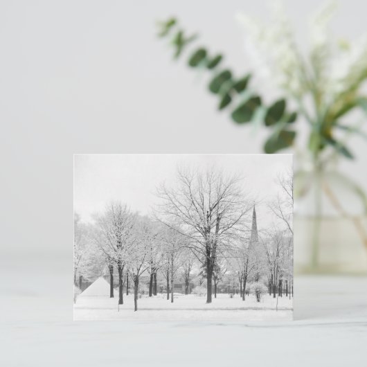 1915年の冬 ポストカード (スタンド正面)